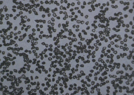 TBW—B　(金剛石精微粉)